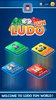 The Ludo Fun - Multiplayer Dice Game screenshot 5