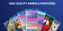 Animal Ringtones screenshot 11