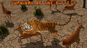 Ultimate Lion Vs Tiger: Wild Jungle Adventure screenshot 3