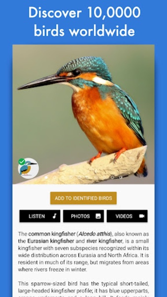 Smart Bird ID UK Europe for Android - Download the APK from
