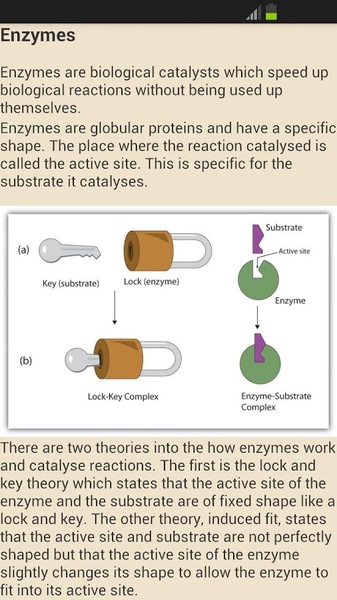 A Level Biology - Preview 6