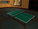 Table Tennis Pro screenshot 5