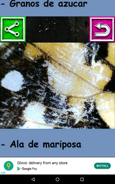 MICROSCOPIO USB FOTOS - Preview 3