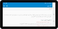 Urdu Dictionary screenshot 2