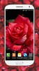 लाल गुलाबों लाइव वॉलपेपर है HD screenshot 5