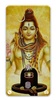 Mahadev : Mahashivratri & Maha screenshot 3