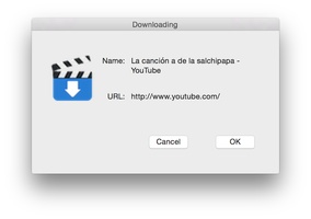 Mac video downloader safari