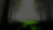The Walk VR | Beautiful jungle World screenshot 1