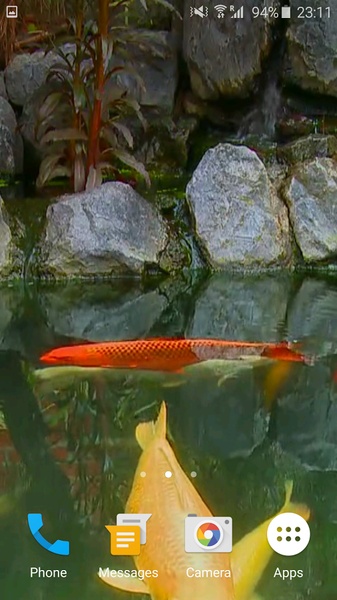 Koi Fish 3D - Preview 4