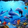 Sea Dolphin Live Wallpaper screenshot 4