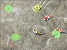 Feed the Koi fish Kids Game screenshot 5