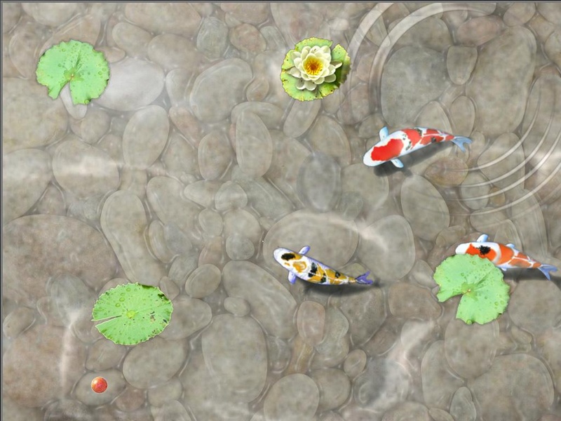Feed the Koi fish Kids Game - Preview 5