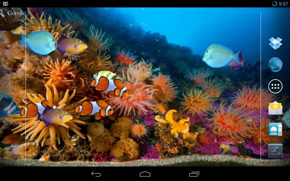 -=Tropic fishes aquarium=- - Preview 3