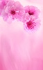 Pink Flowers Live Wallpaper screenshot 3