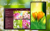 Spring Wallpapers 4K screenshot 1