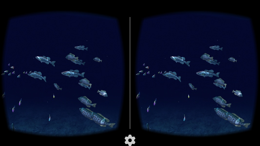 Fish Schooling - Preview 6