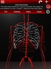 Circulatory System in 3D (Anatomy) screenshot 14