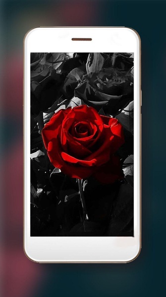 Gothic Roses Live Wallpapers - Preview 3