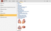 DORLANDS/GRAYS Pocket Atlas of Anatomy screenshot 6