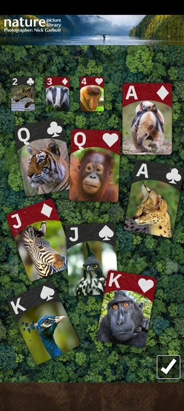 Flick Solitaire - Preview 5