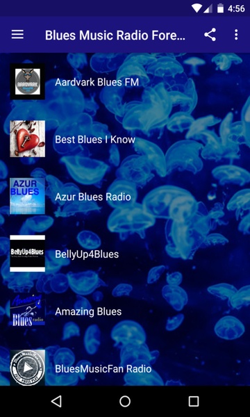 Blues Music Radio Forever - Preview 4