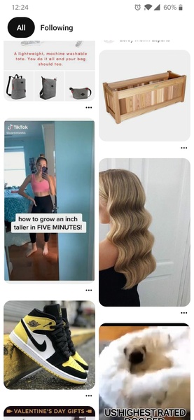 Pinterest Downloader - Preview 12