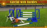 Horse Show Jump 3D screenshot 13