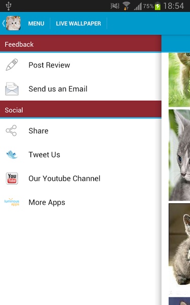 Cute Kittens Wallpapers - Preview 5