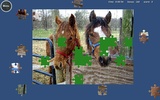 Puzzle Horses screenshot 7
