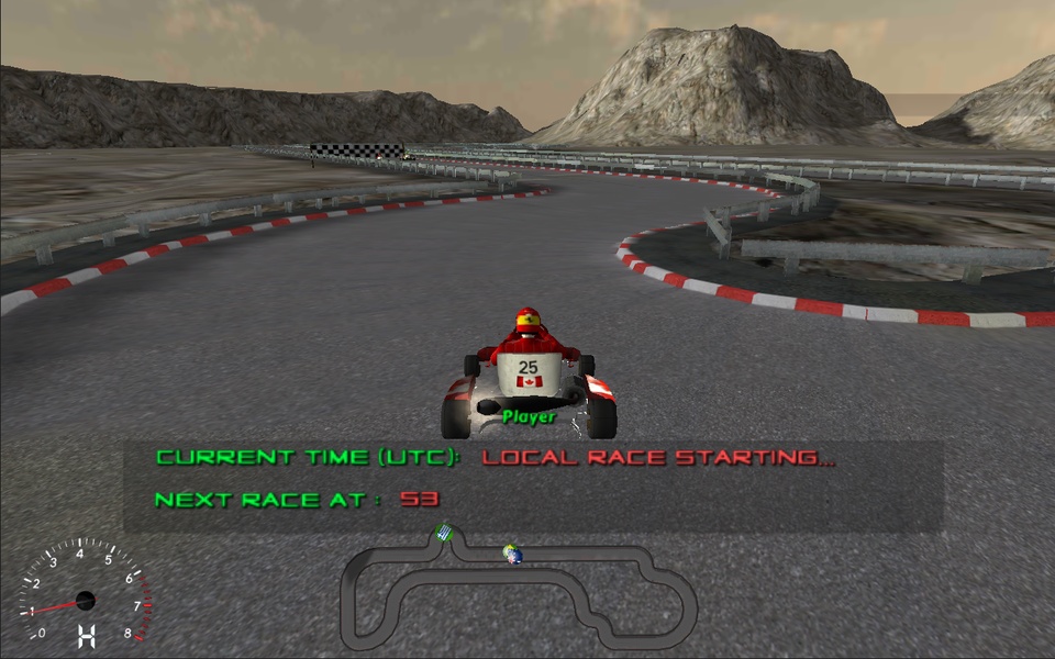 Kart Race Multiplayer - Preview 2
