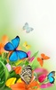 Butterfly Live Wallpaper screenshot 5