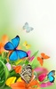 Butterfly Live Wallpaper screenshot 5