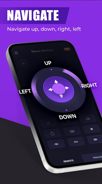 Roku Remote - Preview 1