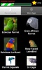 Parrot Sounds screenshot 1