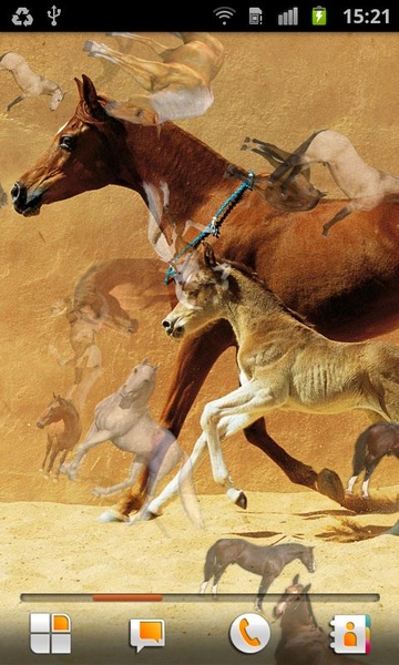 Horse Pictures Live Wallpaper - Preview 5