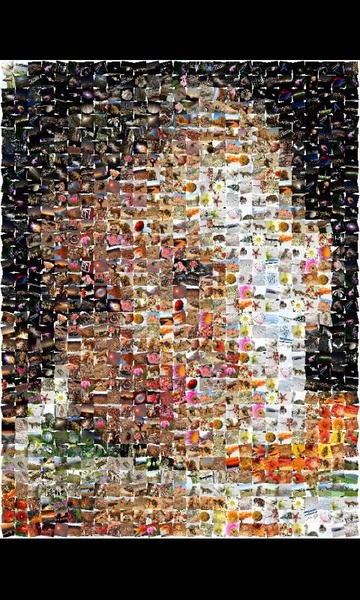 ZaBa Photo Mosaic Lite - Preview 6