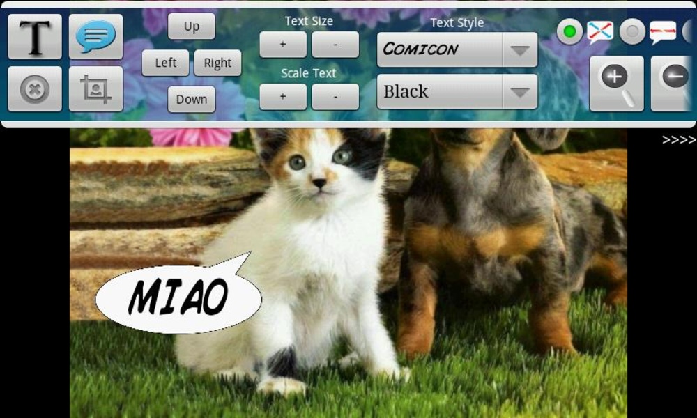 Tinipiny Camera - Preview 10