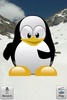 Talking Penguin screenshot 4