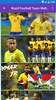 Brazil Flag Wallpaper: Flags and Country Images screenshot 6