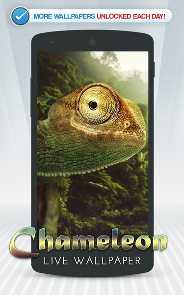 Chameleon Live Wallpaper - Preview 7