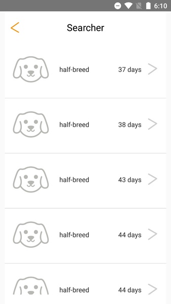 My Pets - Preview 2