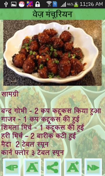 Punjabi and Chinese Recipe in Hindi - Preview 1