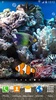 Коралловые рыбки 3D Живые Обои screenshot 8