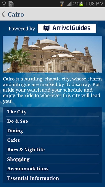 EGYPTAIR - Preview 4