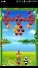 Panda Fruits Bubble screenshot 6