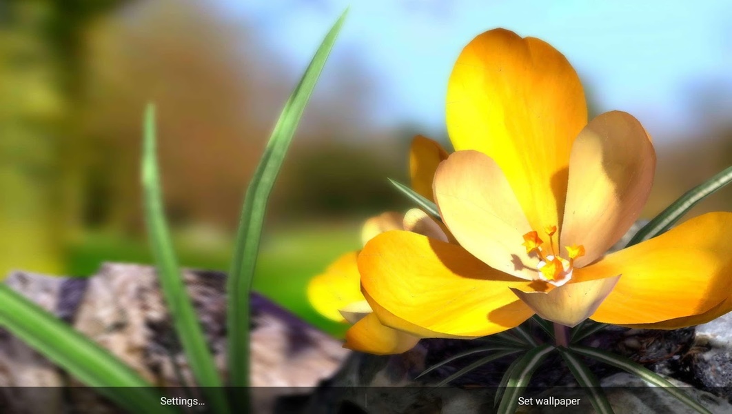 Nature Live - Preview 4