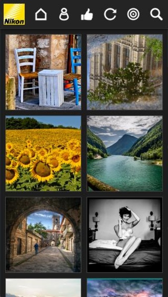 Nikon Art - Preview 8