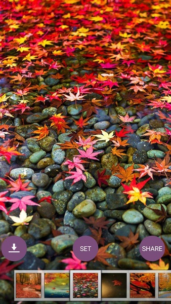 Autumn Wallpaper HD - Preview 8