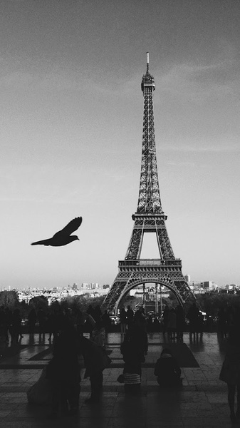 Paris Wallpapers - Preview 7