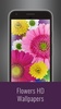 Flowers HD Wallpapers screenshot 16